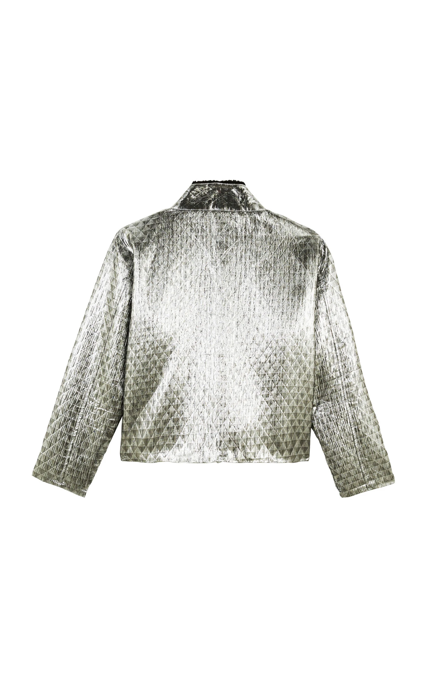 VesteIsaac Argenté 5 VesteIsaac Argenté - Image 5